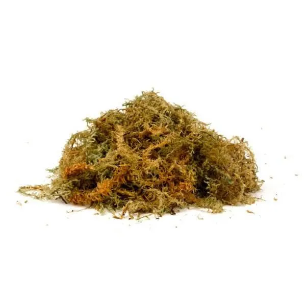 Additional Images   Sphagnum Moss Jumbo