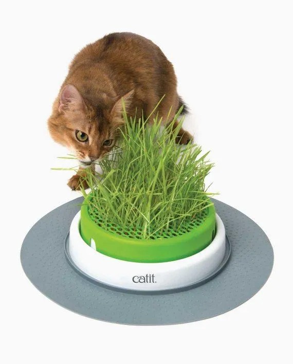 Catit 2.0 – Grass Planter Refill