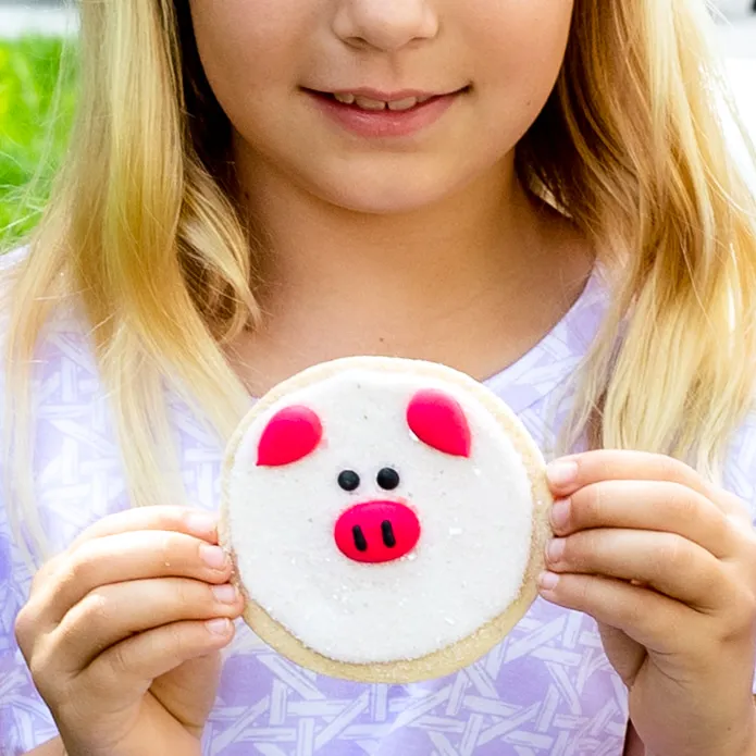 Farm Animal Designer Cookie Kit