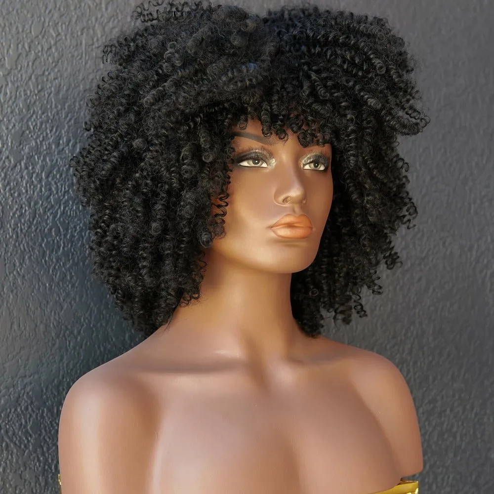 JAYDA Black Afro Curl Wig