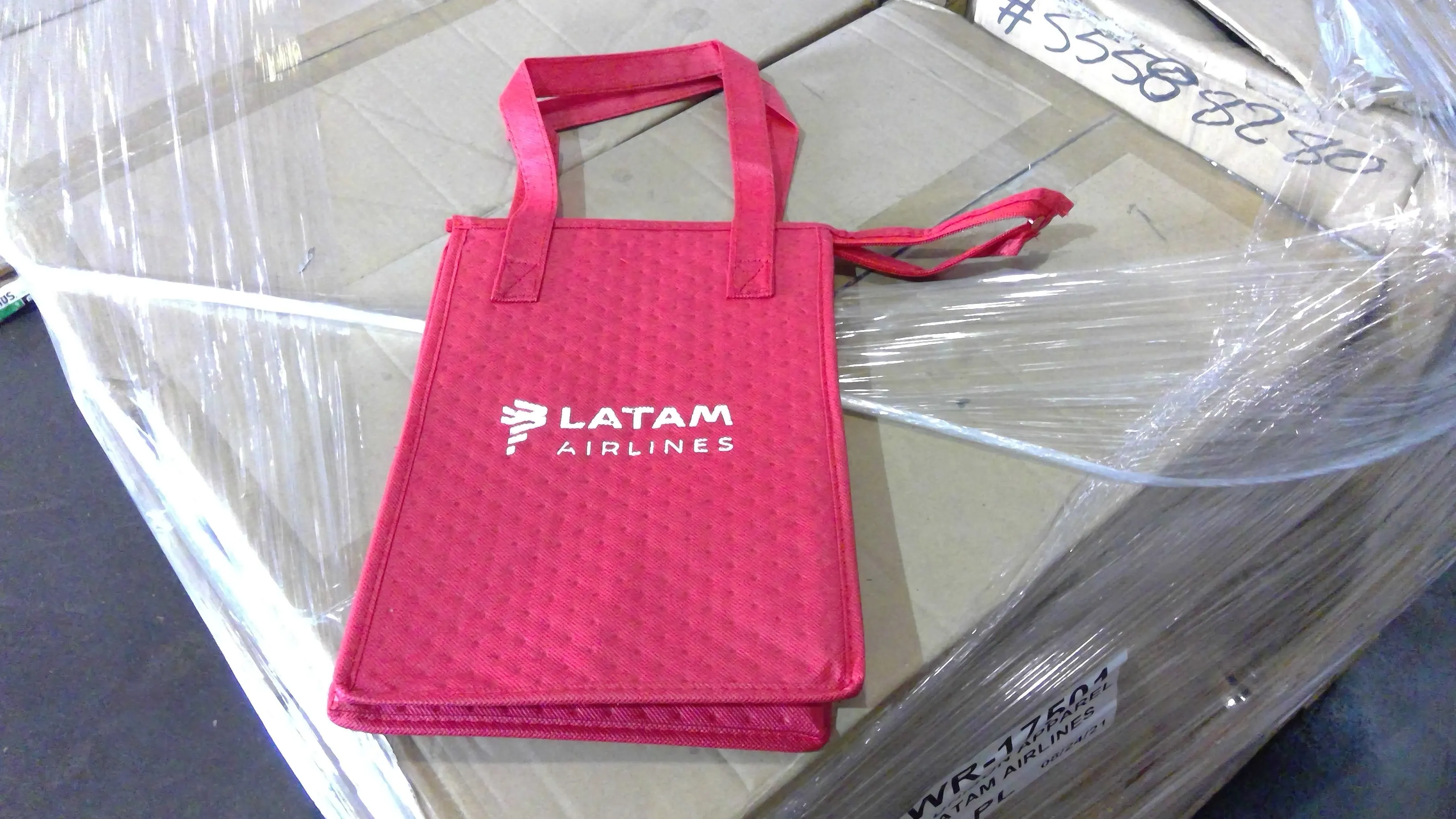 LATAM Cooler Bag