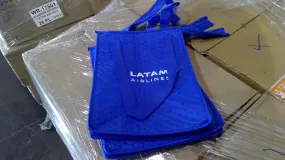 LATAM Cooler Bag