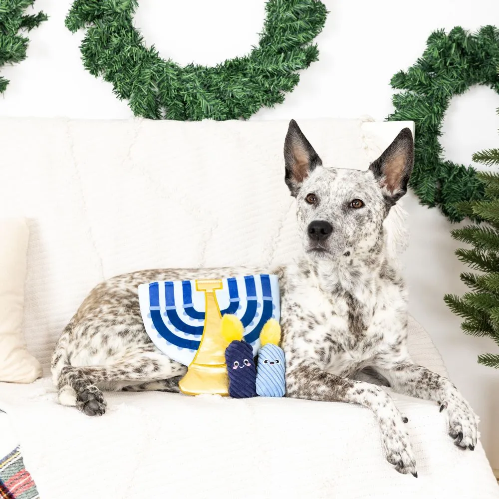 PetShop by Fringe Studios - A Lit Hanukkah