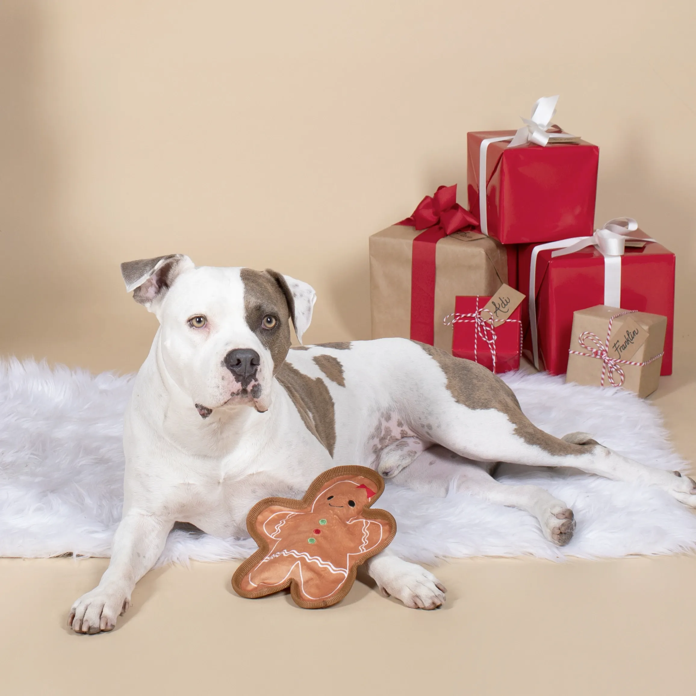 UnStuffed Gingerbread Girl, Dog Squeaky Plush toy