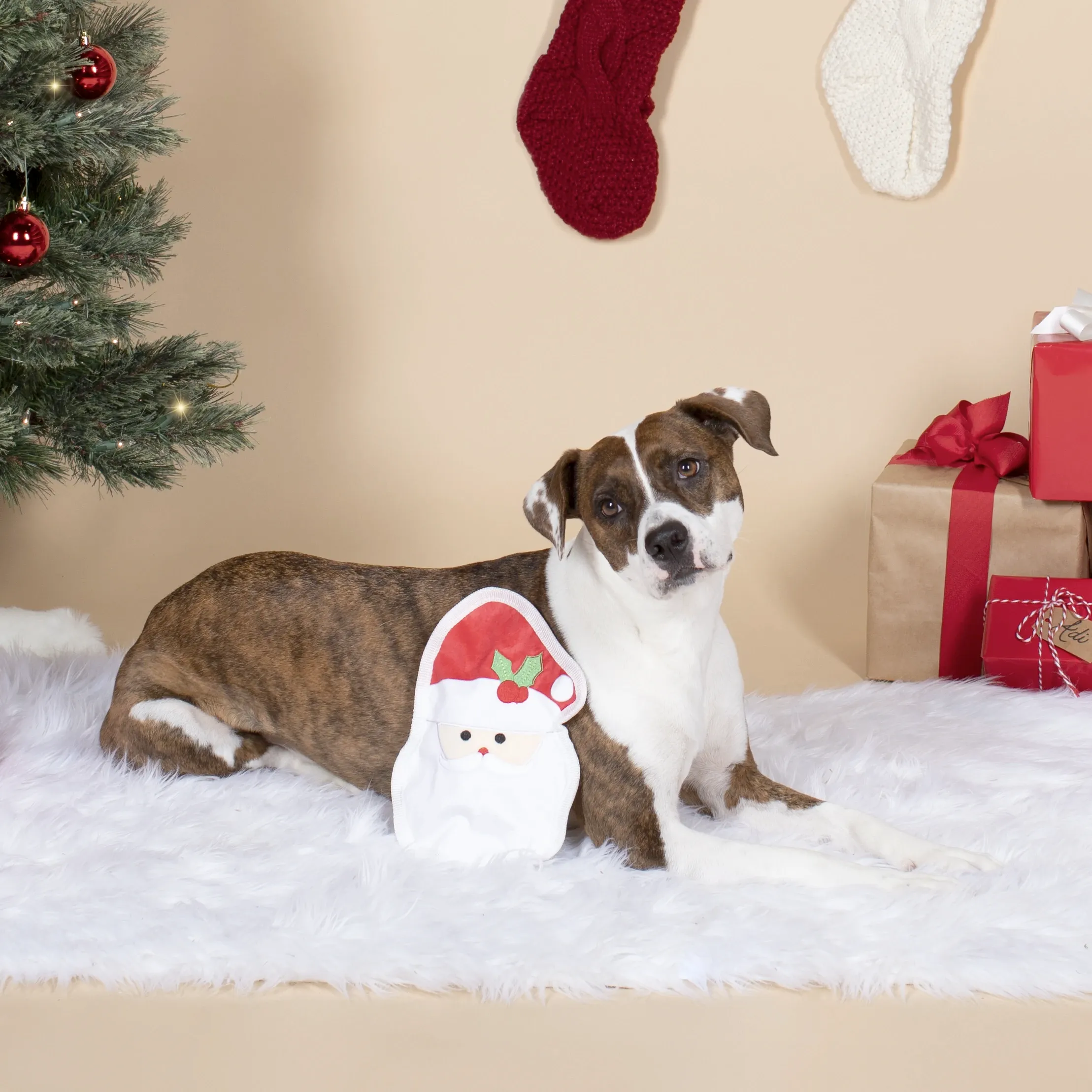 UnStuffed Santa Face, Dog Squeaky Plush toy